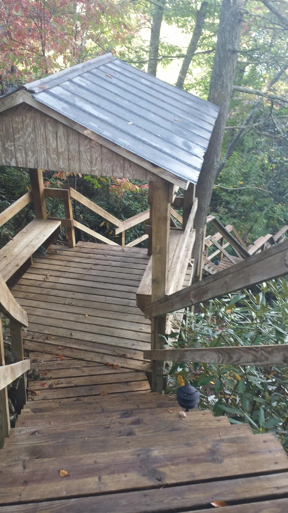 Metal roofed shelter over wooden steps on a wooded walkway — Skylight Repair & Installation work by our crew in Reedley